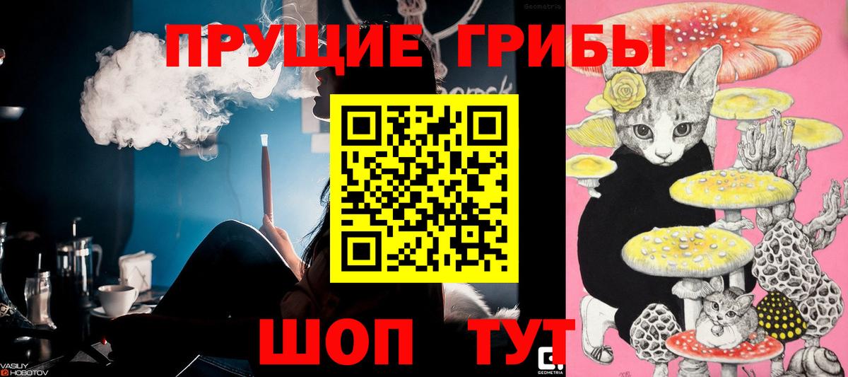 Галлюциногенные грибы Cubensis  Галлюциногенные грибы мухоморы  Гусев  Вход с VPN 